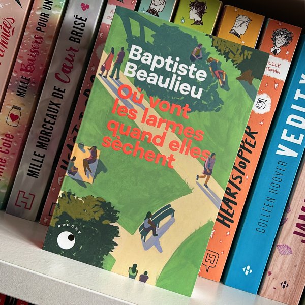 Où vont les larmes quand elles sèchent  - Baptiste Beaulieu