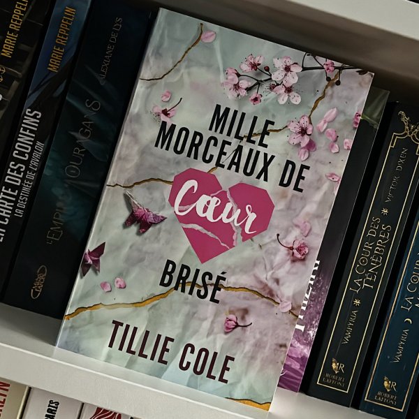 Mille Morceaux de Cœur Brisé - Tillie Cole